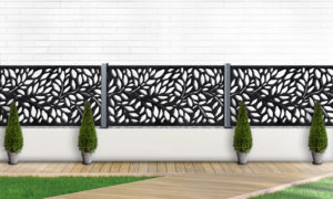 Bonsai Breeze BLK 3